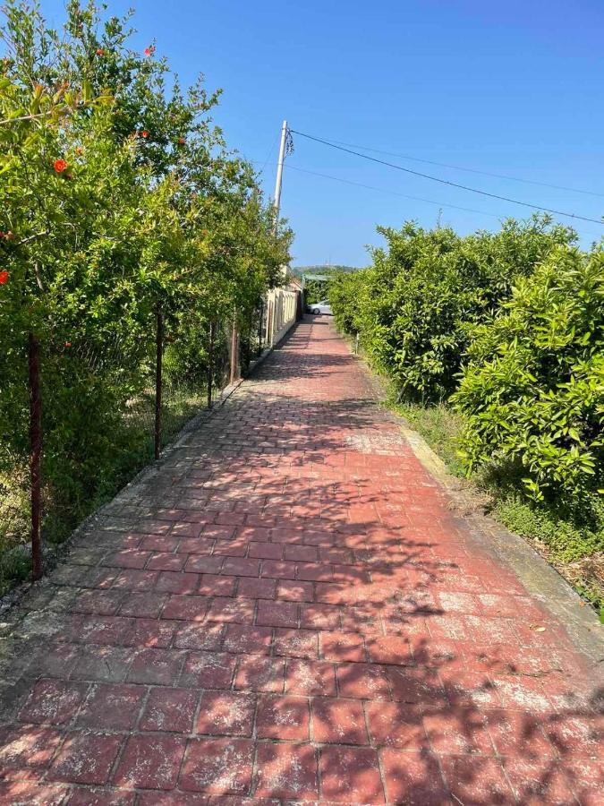 Villa Nilic Bar Buitenkant foto